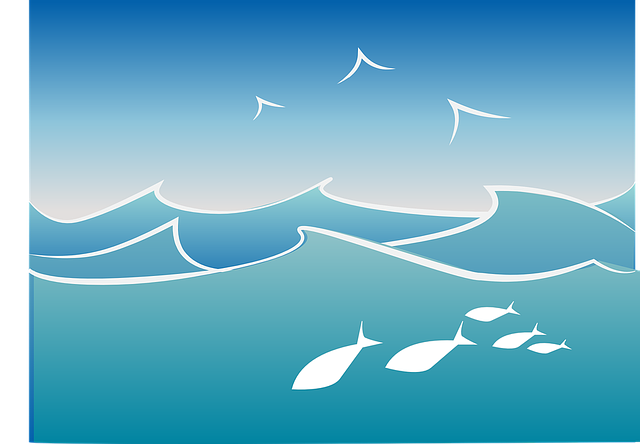 Fische im Meer