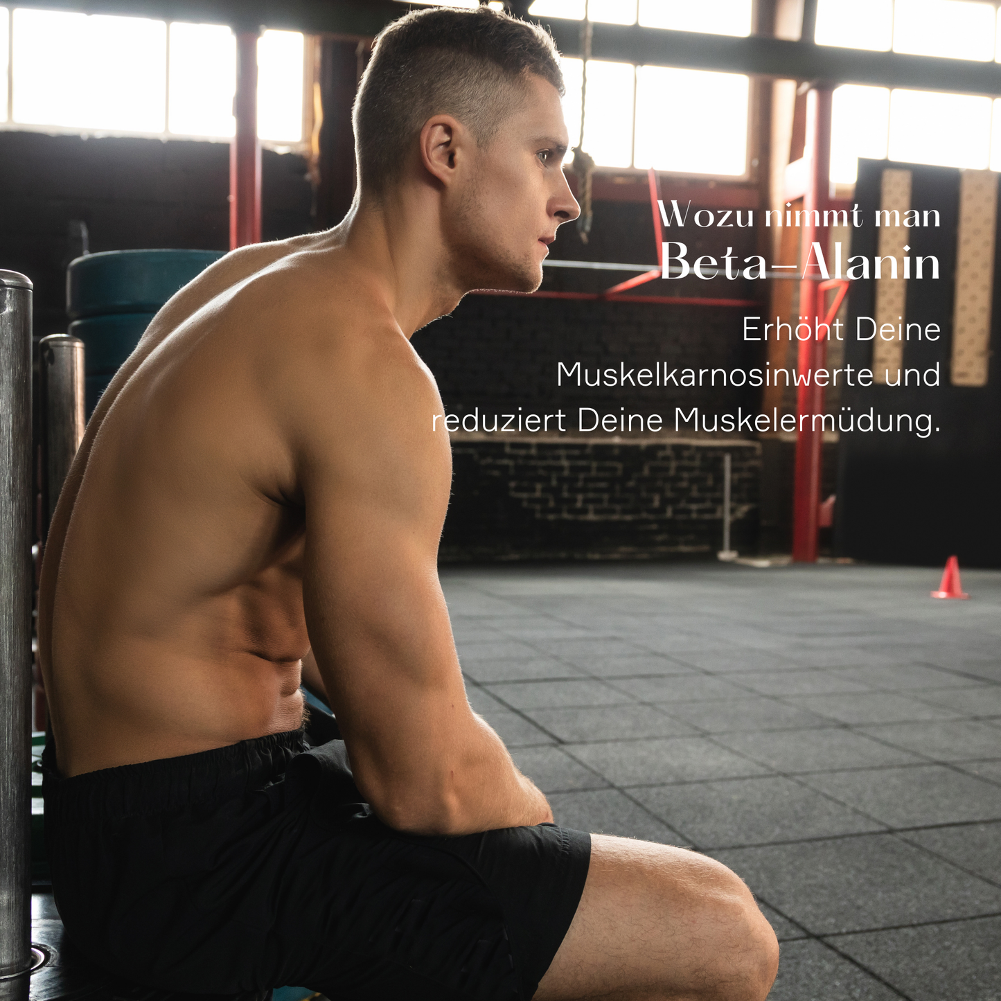 Beta Alanin Pulver für Pre-Workout Booster| Suppstainable