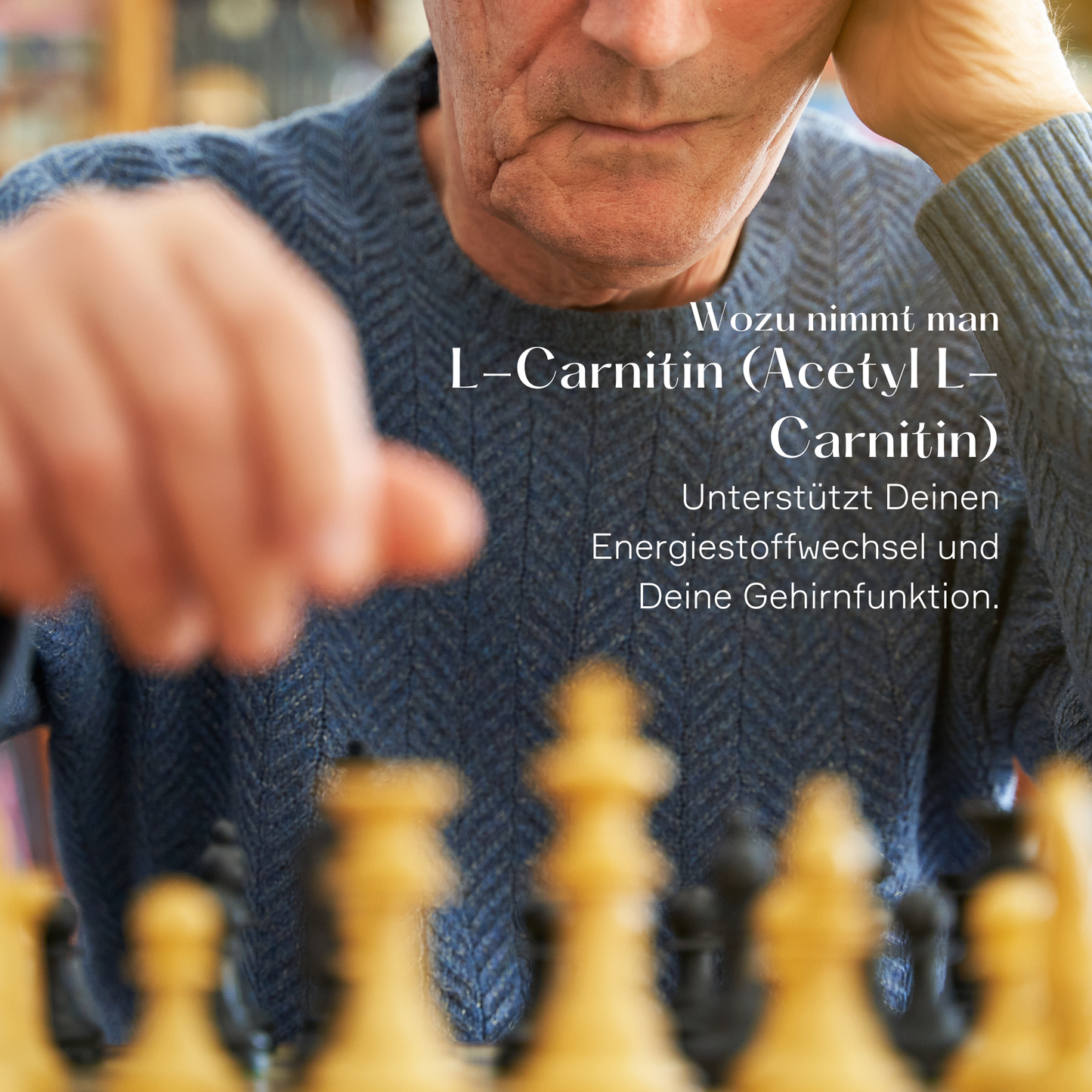 L-Carnitin Pulver
