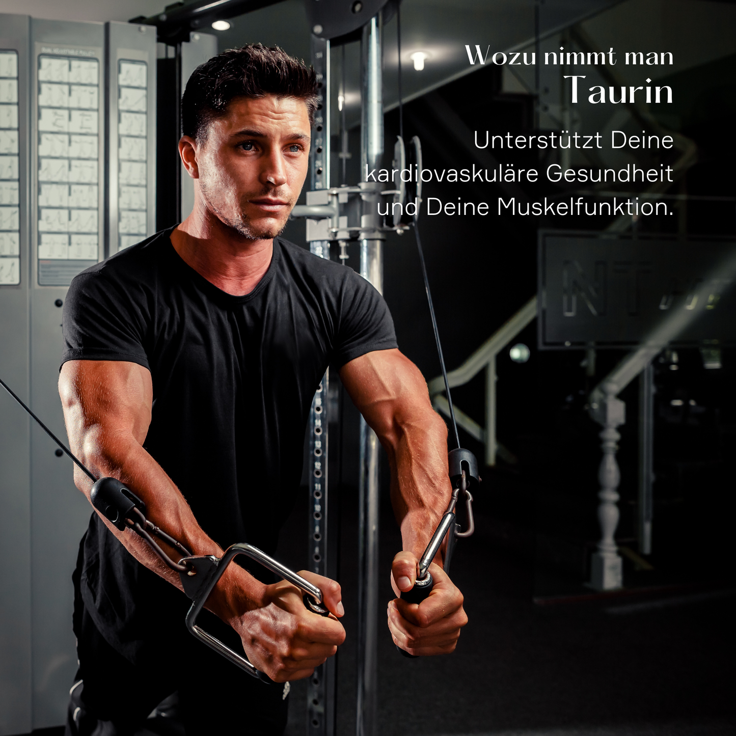 Taurin-Pulver für Pre-Workout Booster | Suppstainable