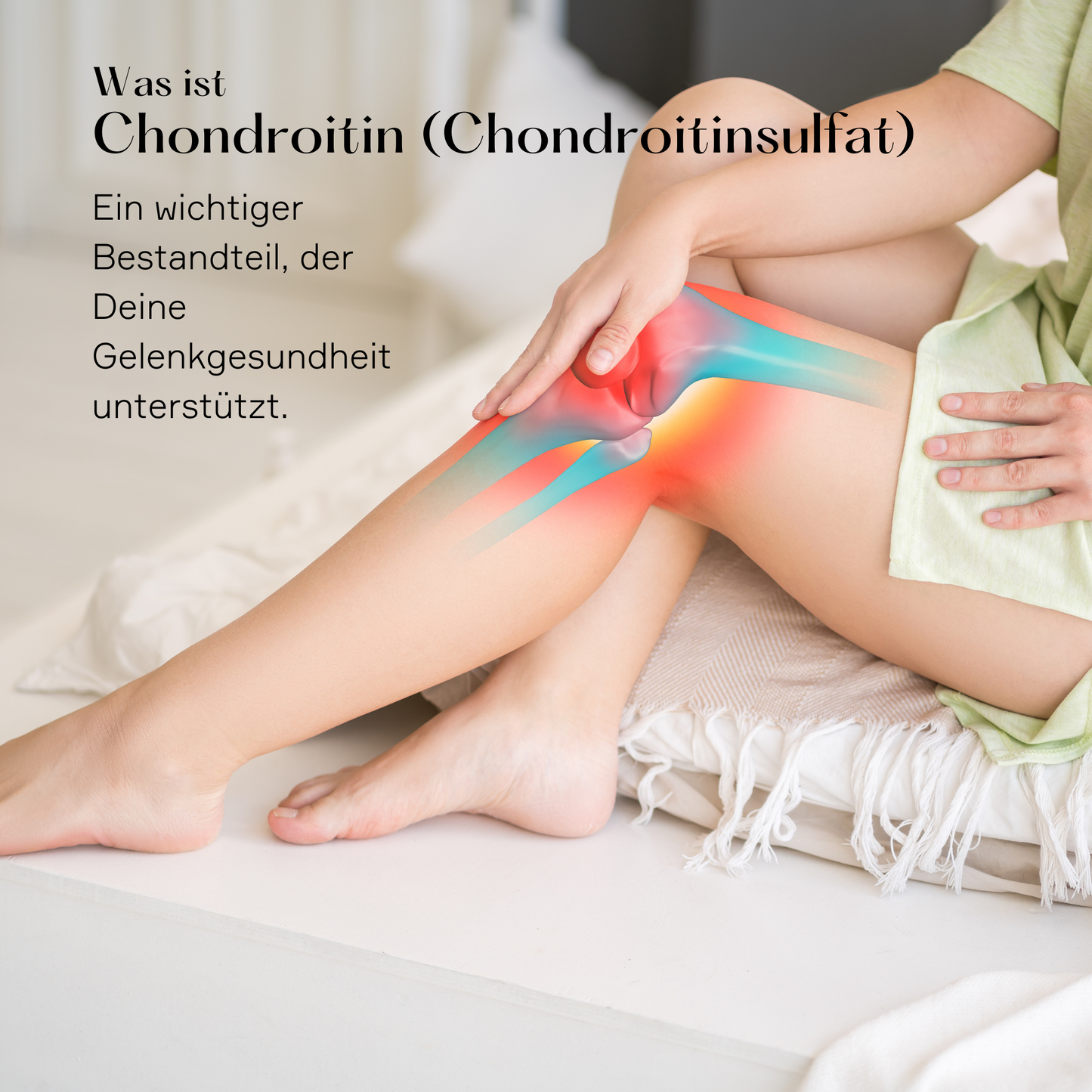Chondroitinsulfat Pulver