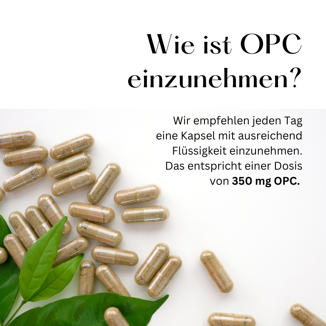 OPC Traubenkernextrakt Kapseln