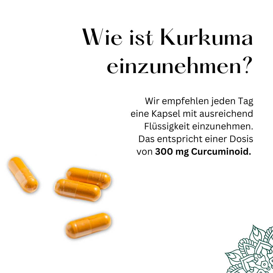 Kurkuma Kapseln