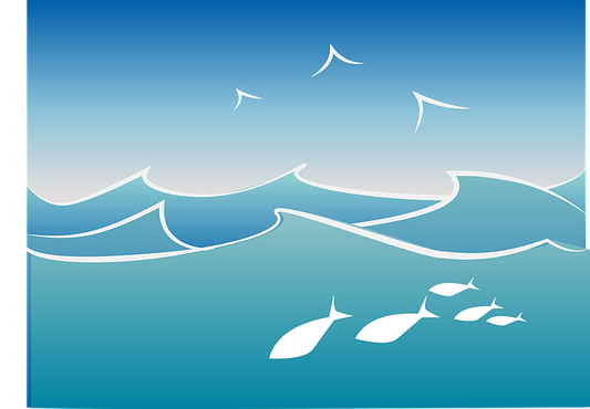 Fische im Meer