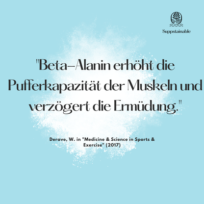 Beta Alanin Pulver für Pre-Workout Booster| Suppstainable