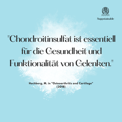 Chondroitinsulfat Pulver