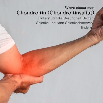 Chondroitinsulfat Pulver